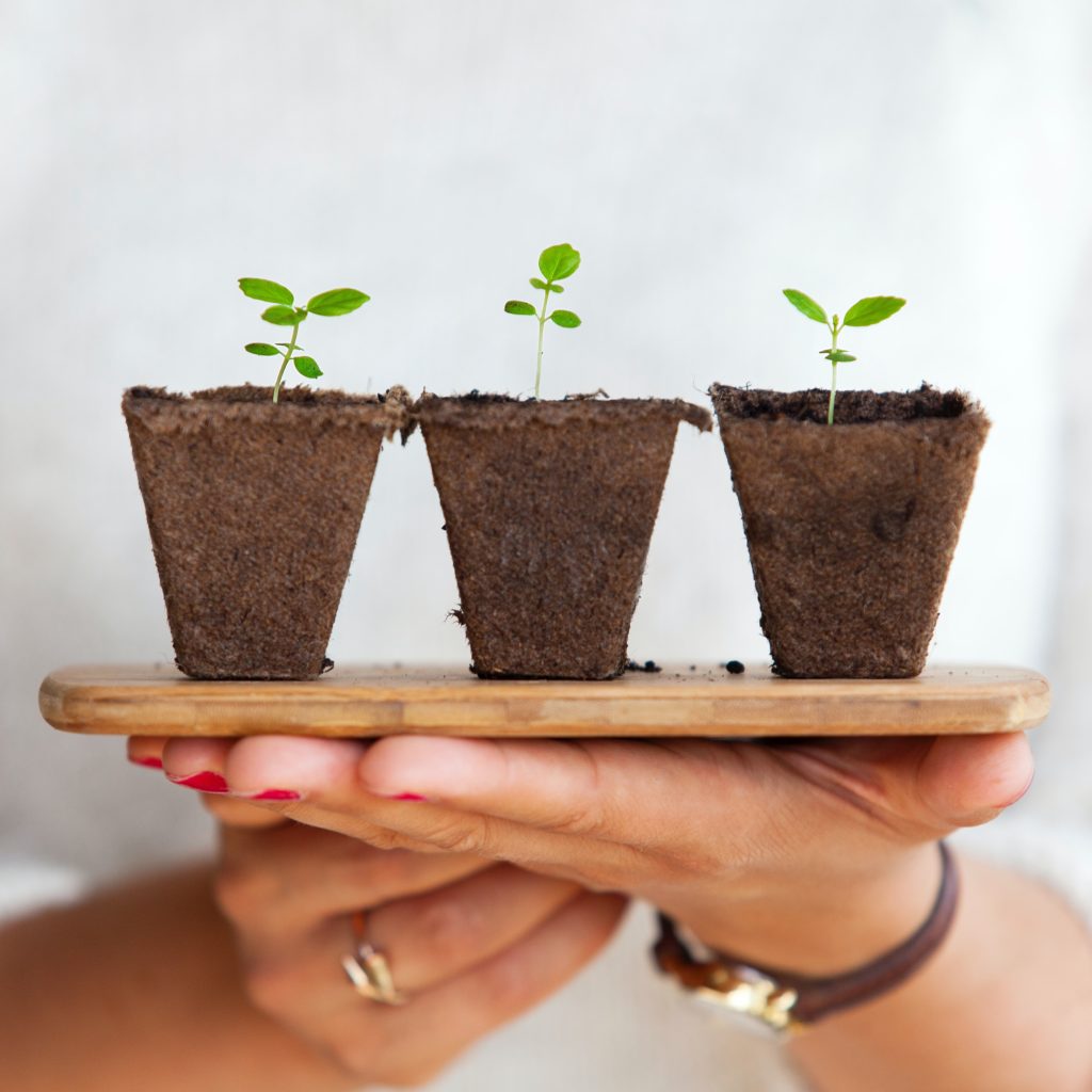Growth